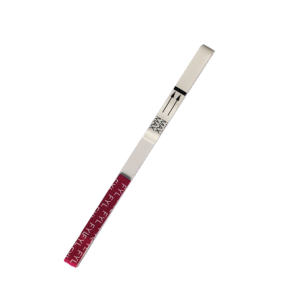 FYL Strip Single
