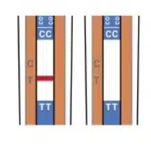 Wholesale Deals for Drug Test Supplies