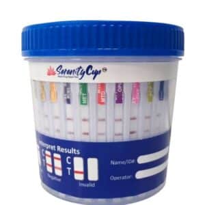 economy cup